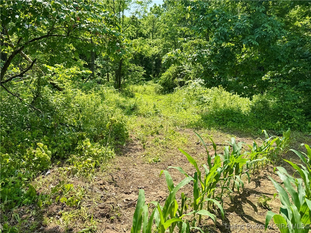 2 E State Road 56 Property Photo 37
