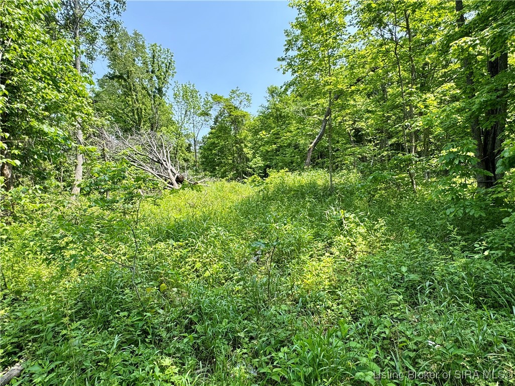 2 E State Road 56 Property Photo 38
