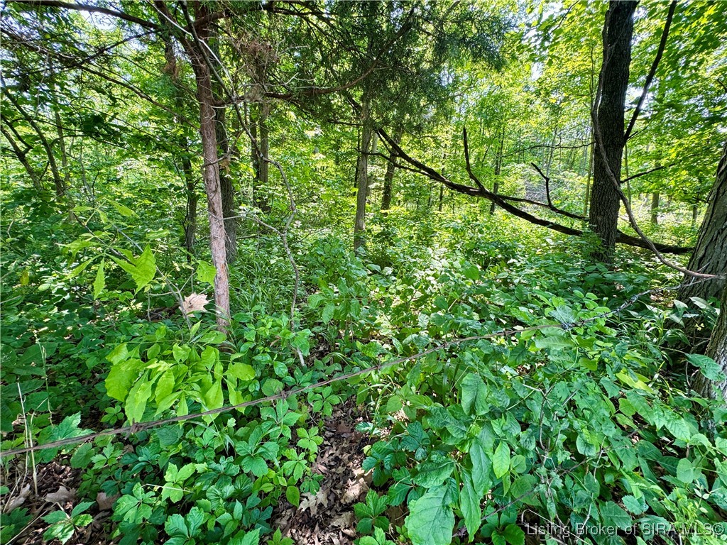2 E State Road 56 Property Photo 40