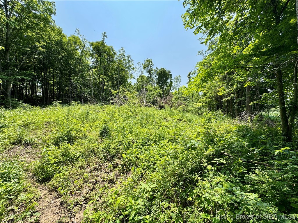 2 E State Road 56 Property Photo 42