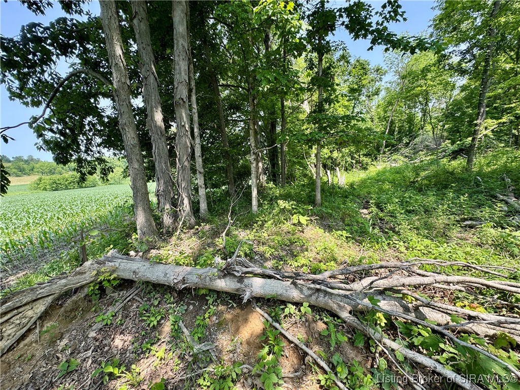 2 E State Road 56 Property Photo 43