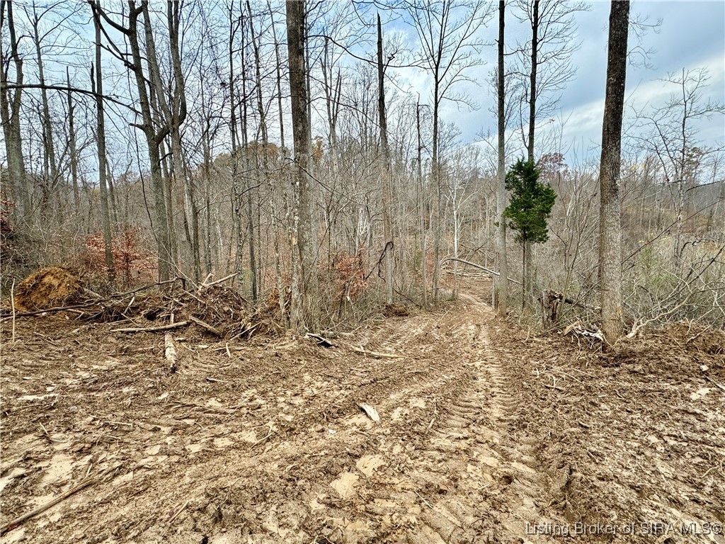 4 Co Rd 375 S Property Photo 5