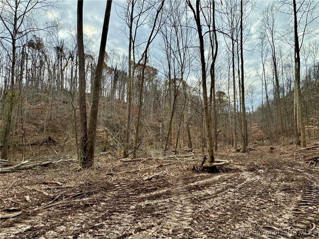4 Co Rd 375 S Property Photo 10