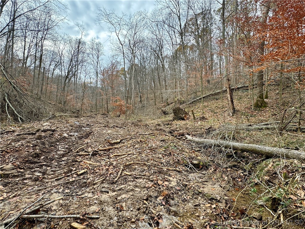 4 Co Rd 375 S Property Photo 14
