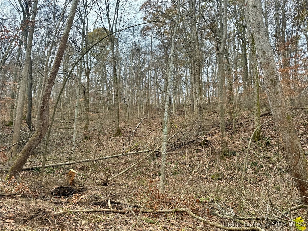 4 Co Rd 375 S Property Photo 15