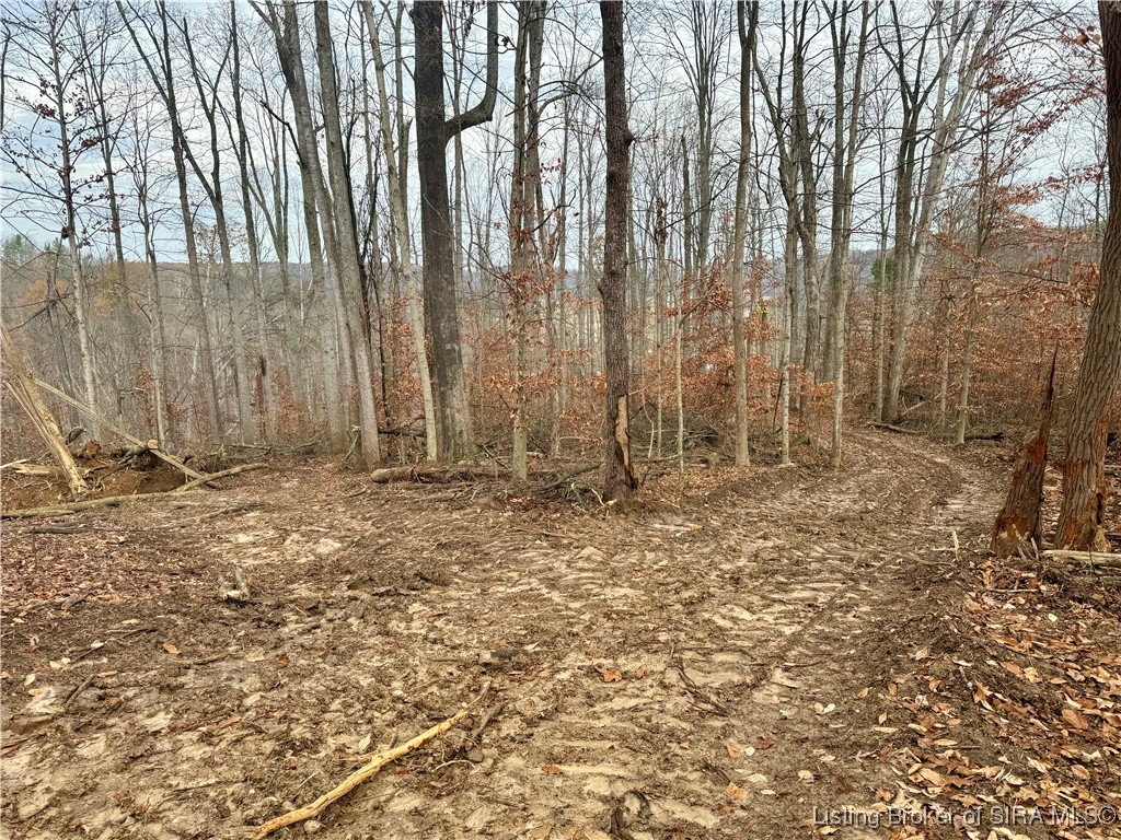 4 Co Rd 375 S Property Photo 18