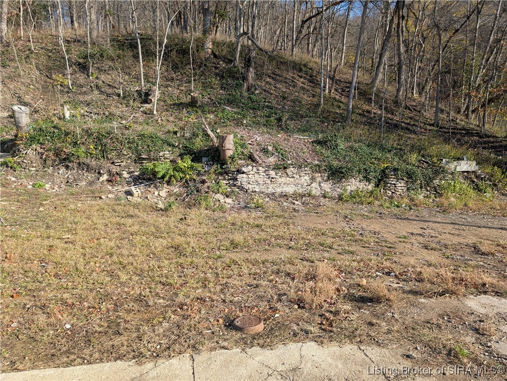 1007 & 1009 Park Avenue Property Photo 2