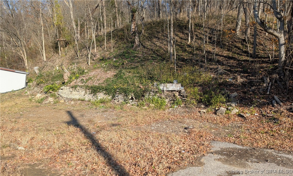 1007 & 1009 Park Avenue Property Photo 3