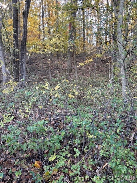 E State Road 56 Property Photo 3