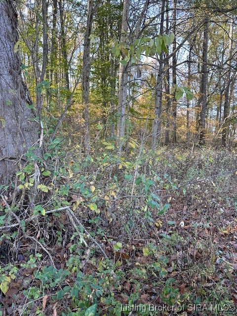 E State Road 56 Property Photo 4