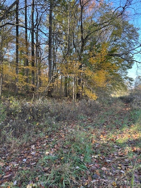 E State Road 56 Property Photo 5
