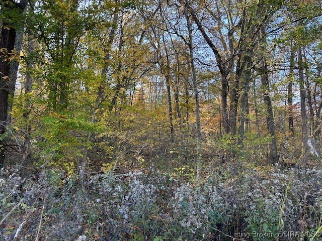 E State Road 56 Property Photo 6