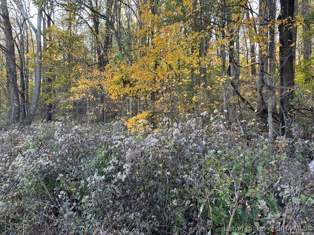 E State Road 56 Property Photo 8