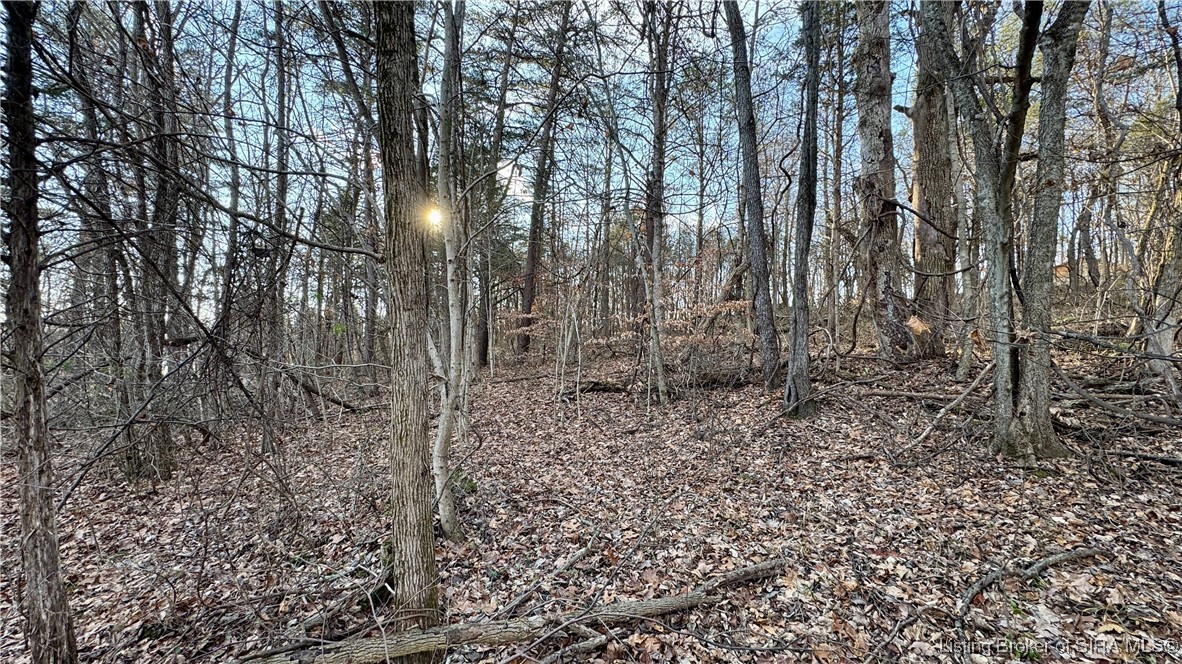 S Co Rd 425 E Property Photo 6