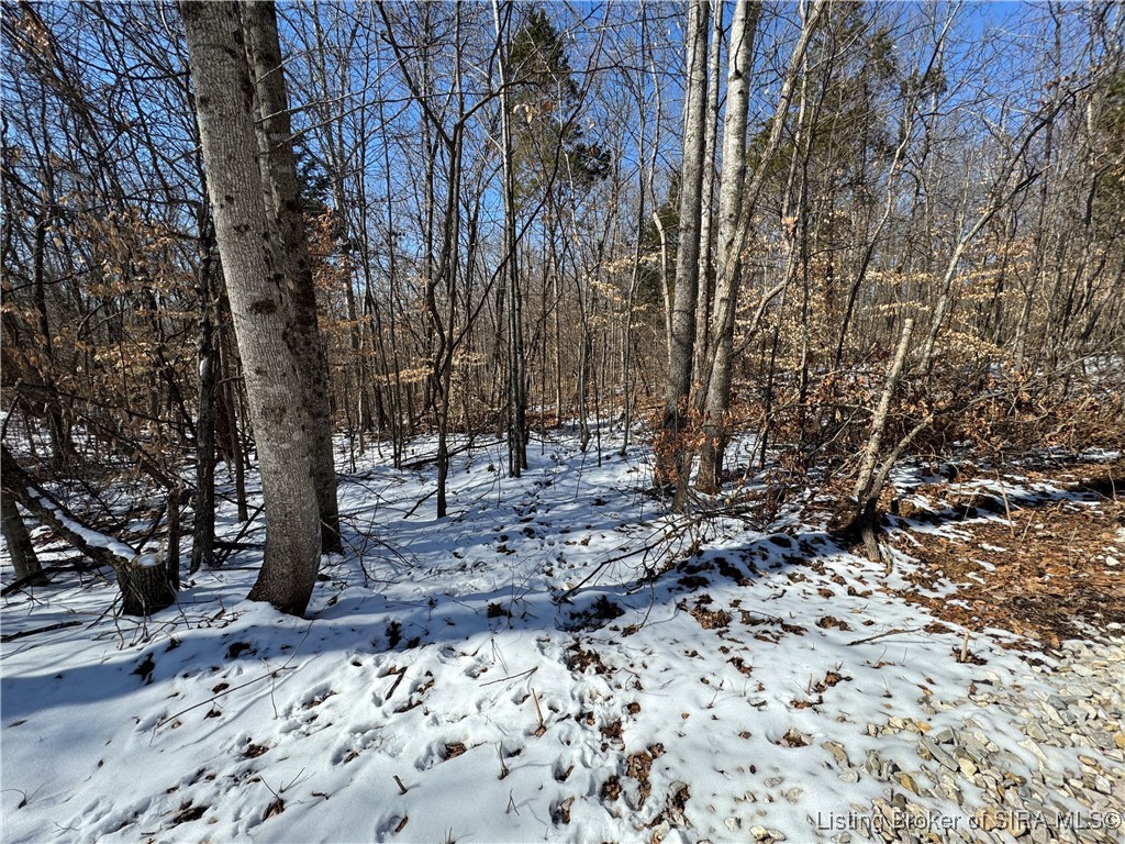 3 In-237 Property Photo 3