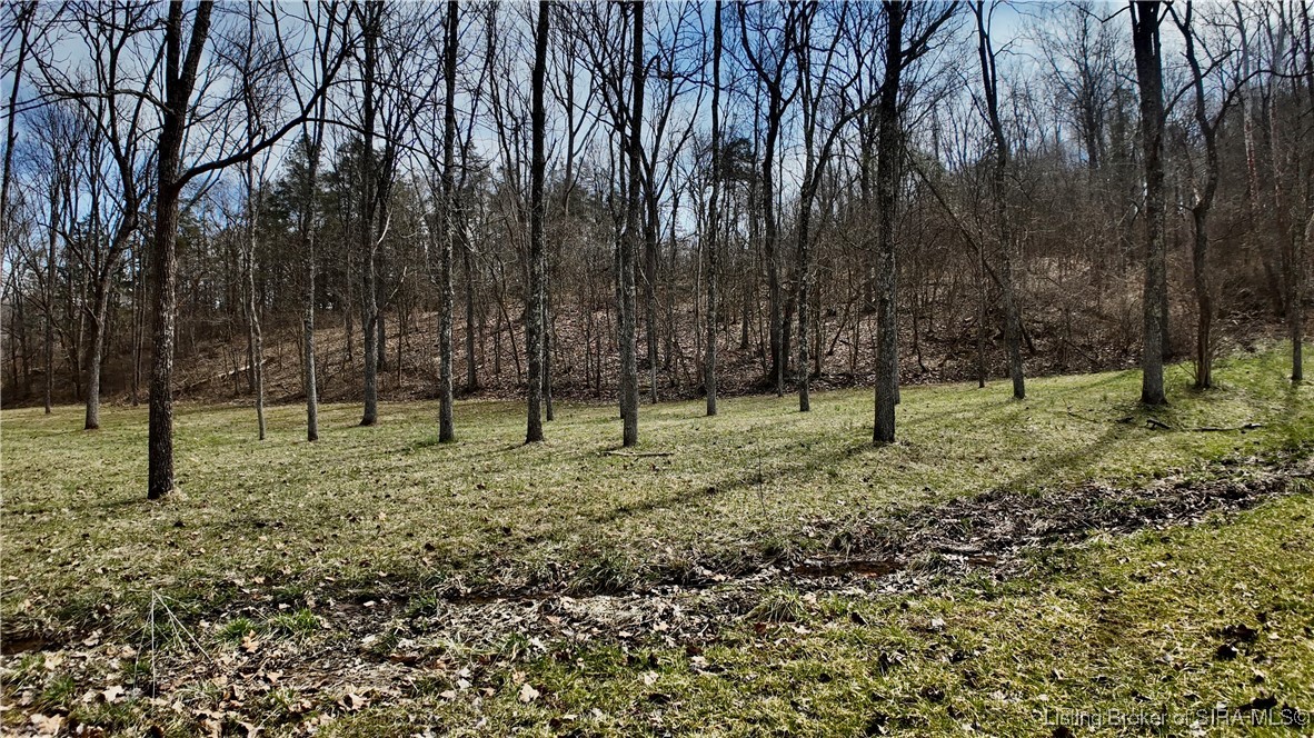 1921 E Sr 250 Property Photo 51