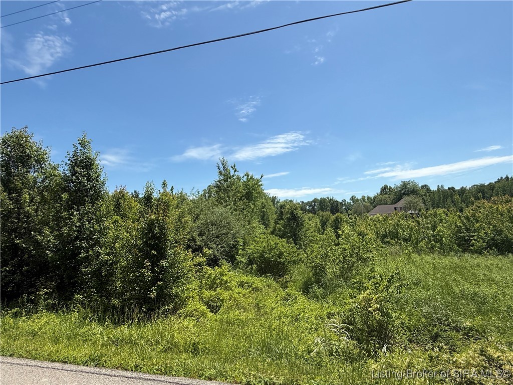 0 Wilson Switch Road Property Photo 1