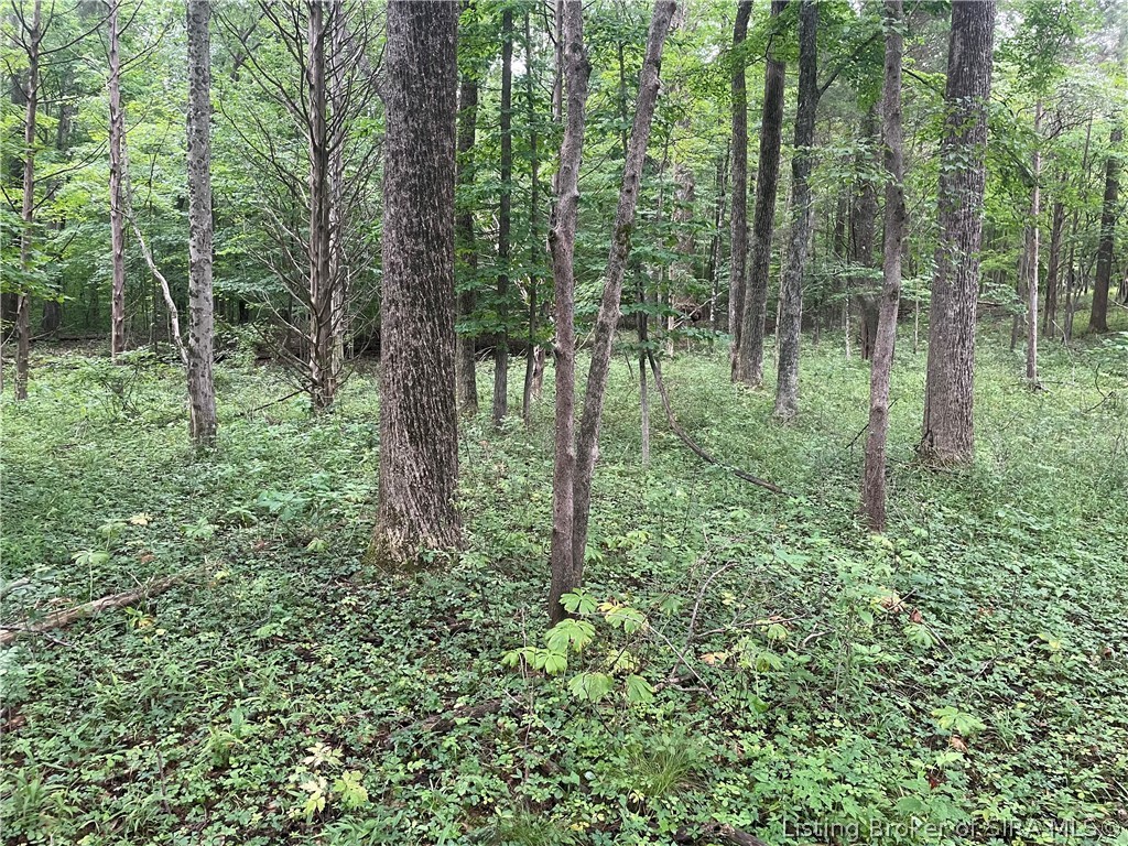 Becks Mill Road Property Photo 4