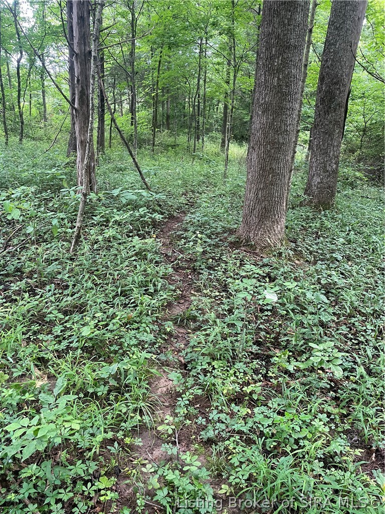 Becks Mill Road Property Photo 5