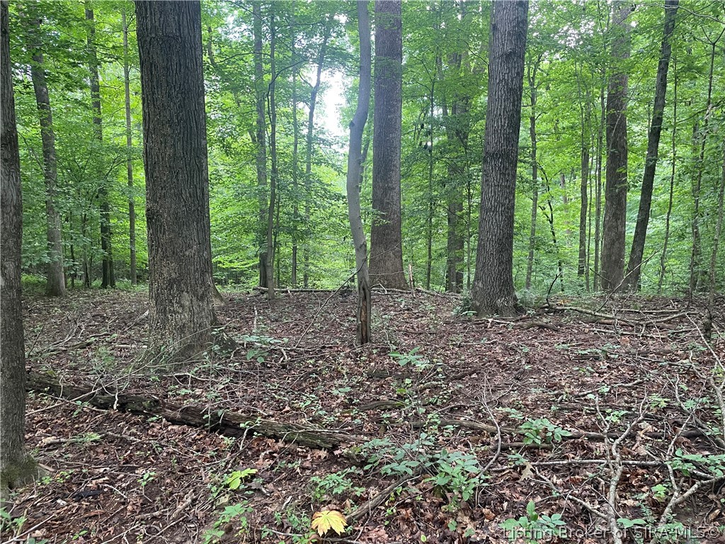 Becks Mill Road Property Photo 7