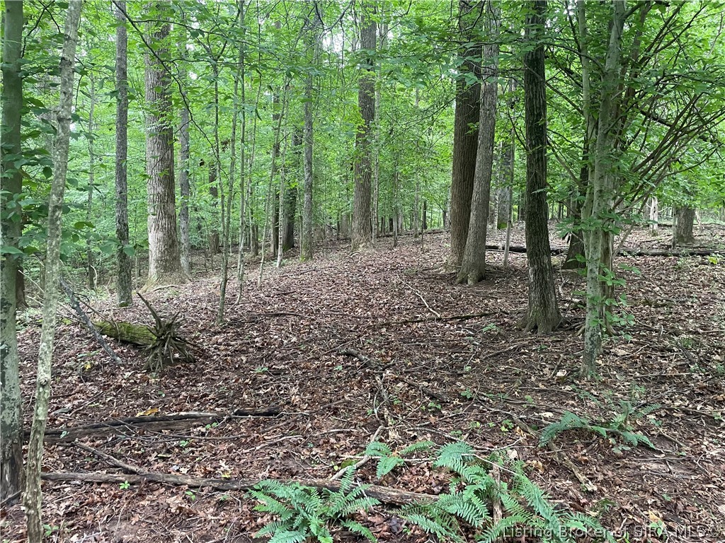 Becks Mill Road Property Photo 8