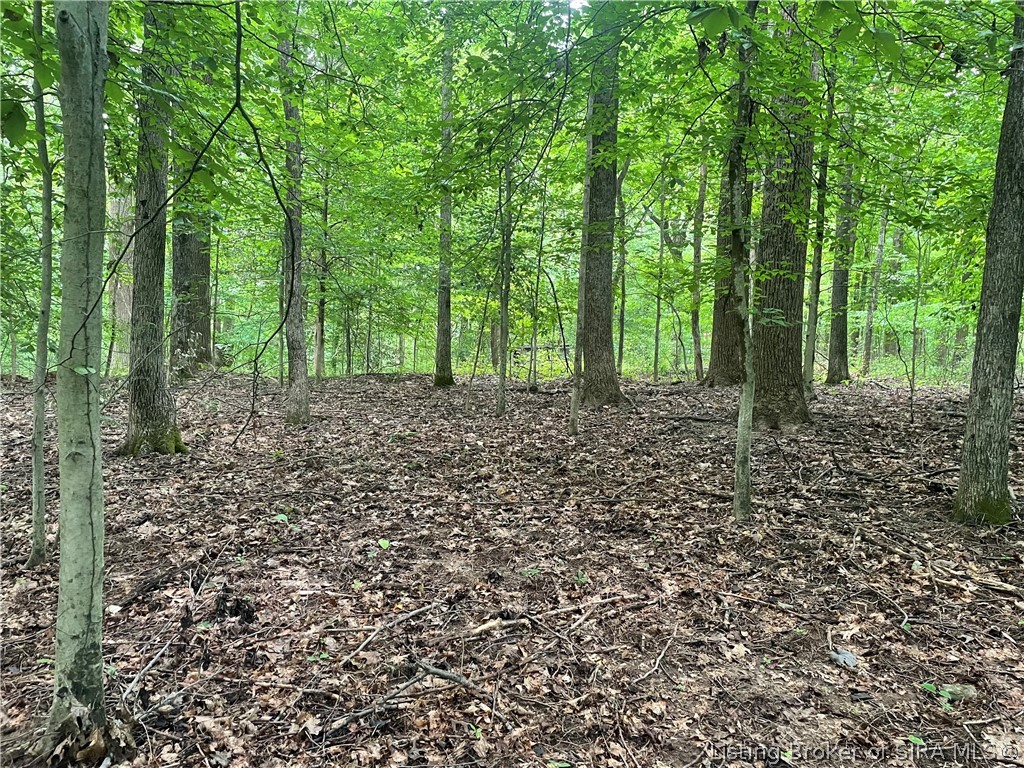 Becks Mill Road Property Photo 10