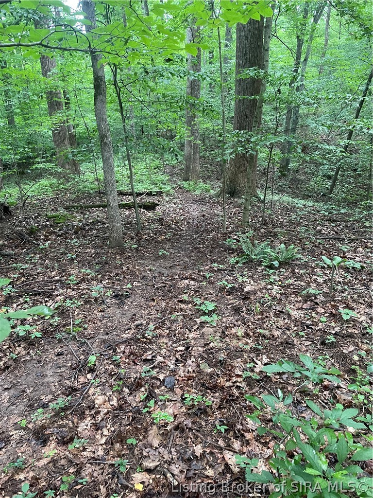 Becks Mill Road Property Photo 14