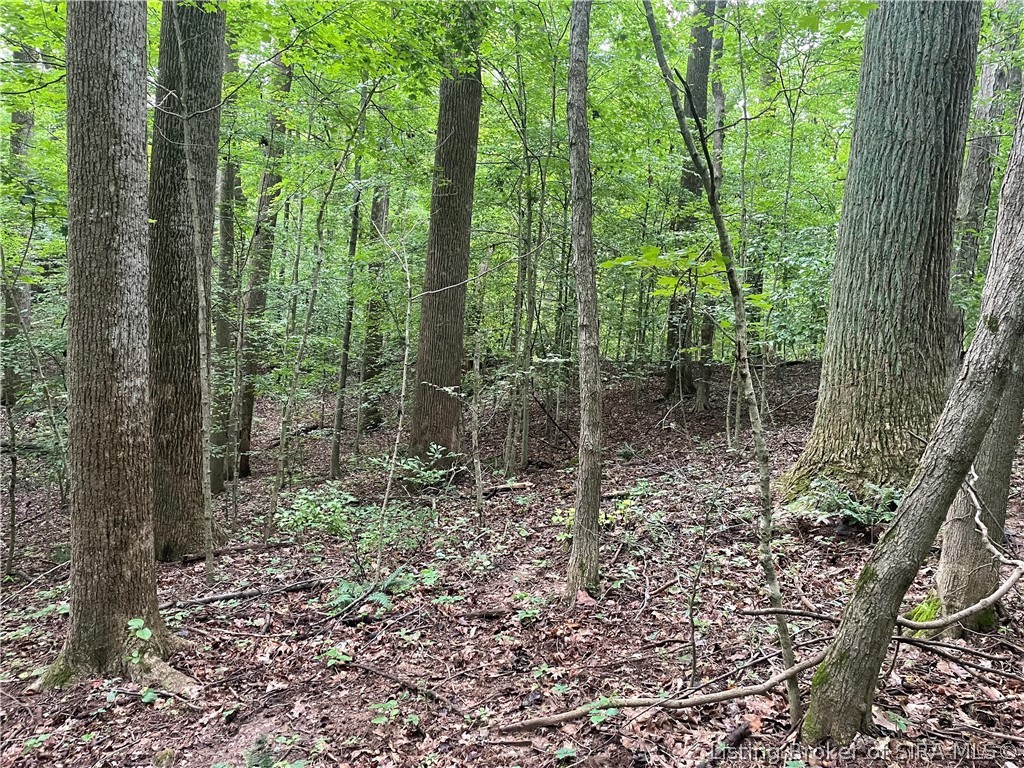 Becks Mill Road Property Photo 15