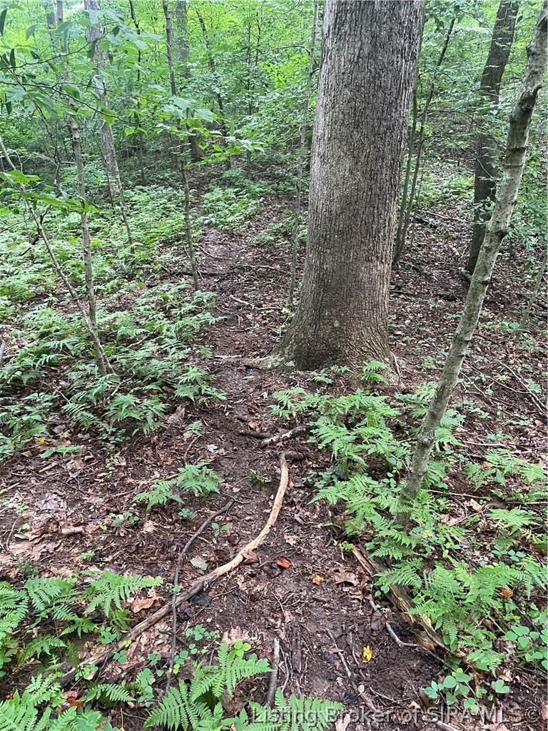 Becks Mill Road Property Photo 16