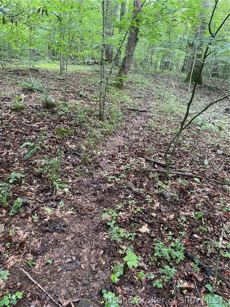 Becks Mill Road Property Photo 17