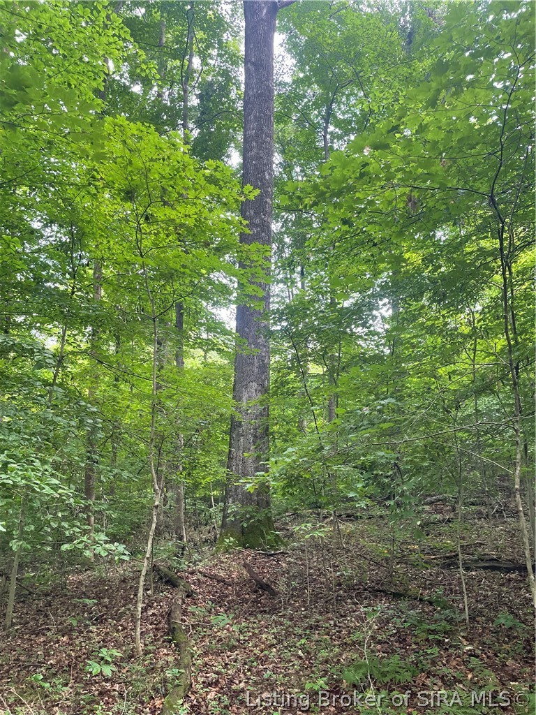 Becks Mill Road Property Photo 19