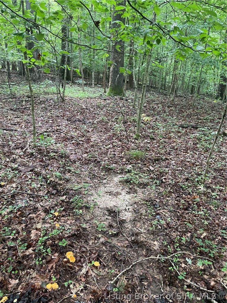 Becks Mill Road Property Photo 20