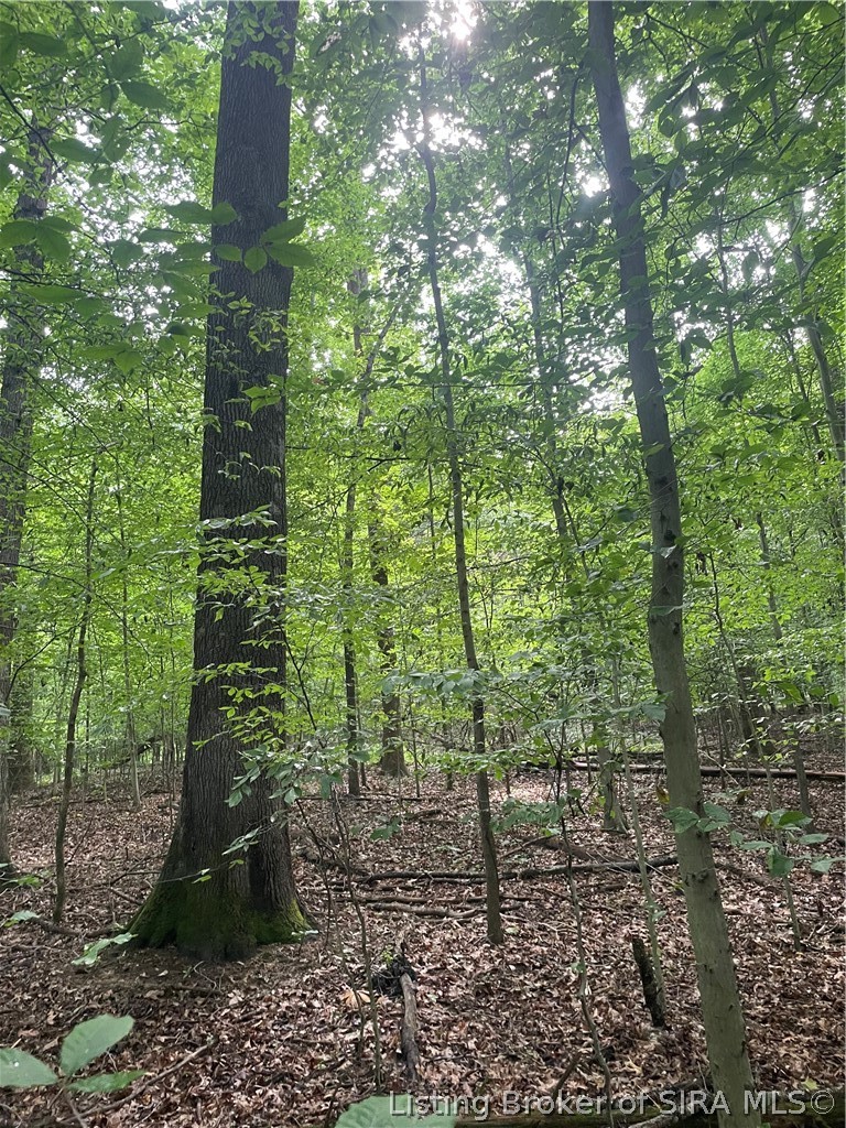 Becks Mill Road Property Photo 24