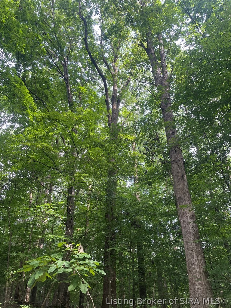 Becks Mill Road Property Photo 25