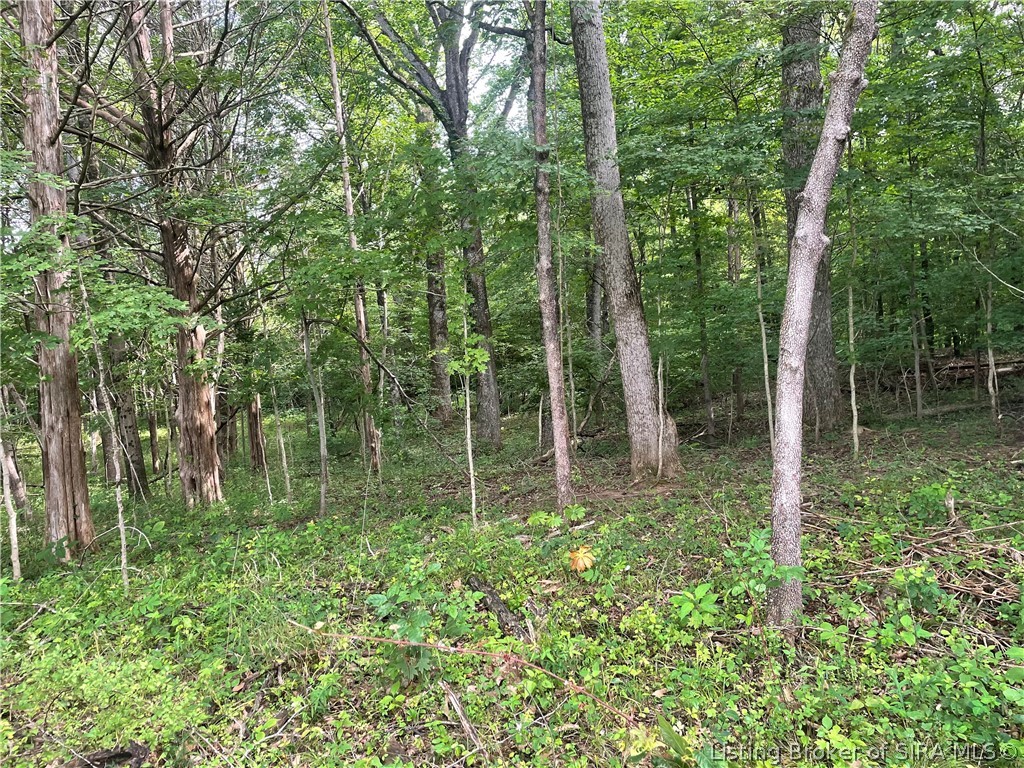 Becks Mill Road Property Photo 26