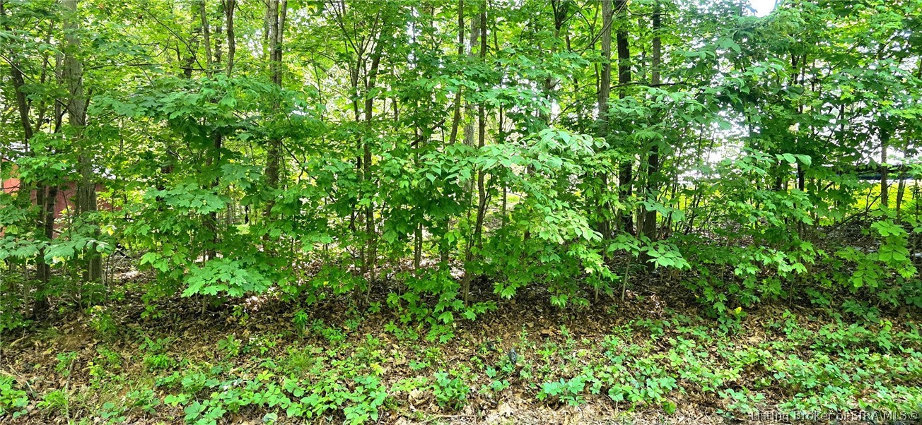 0 Rosie Gayle Drive Ne Property Photo 2