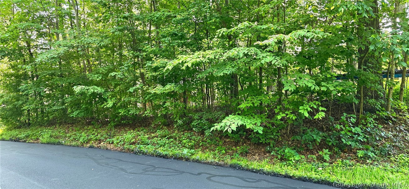 0 Rosie Gayle Drive Ne Property Photo 3