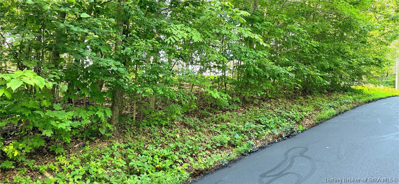 0 Rosie Gayle Drive Ne Property Photo 4