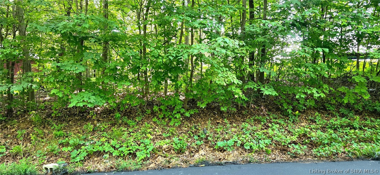 0 Rosie Gayle Drive Ne Property Photo 13