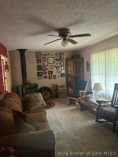 9332 S Big Springs Road Property Photo 6