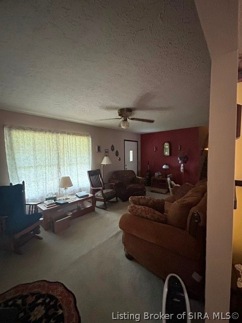9332 S Big Springs Road Property Photo 14