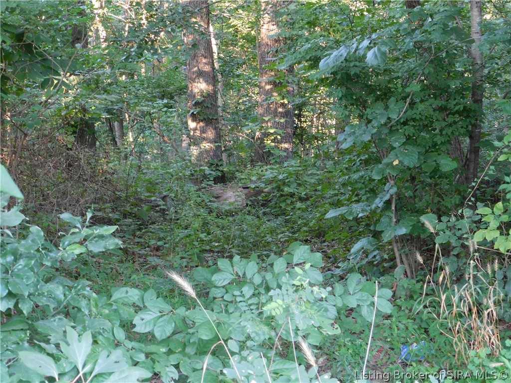 5000 W Hensler Road Property Photo 6