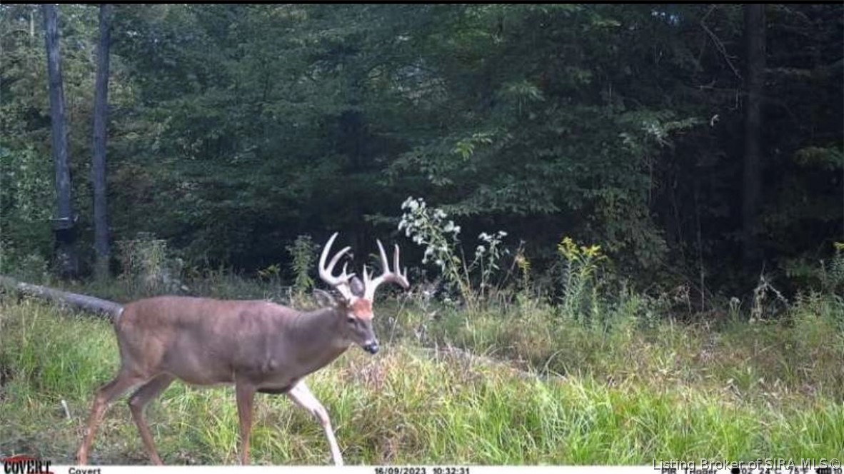 Lot #5 Deer Creek Road Property Photo 3