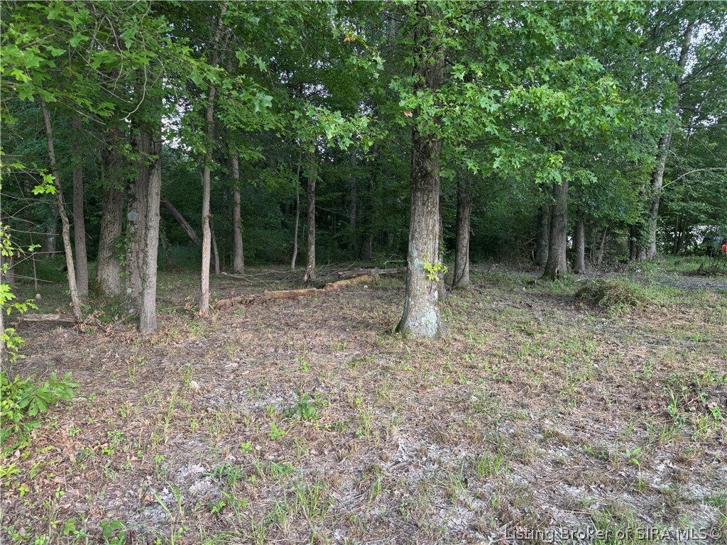 15203 Silver Springs Court Property Photo 8
