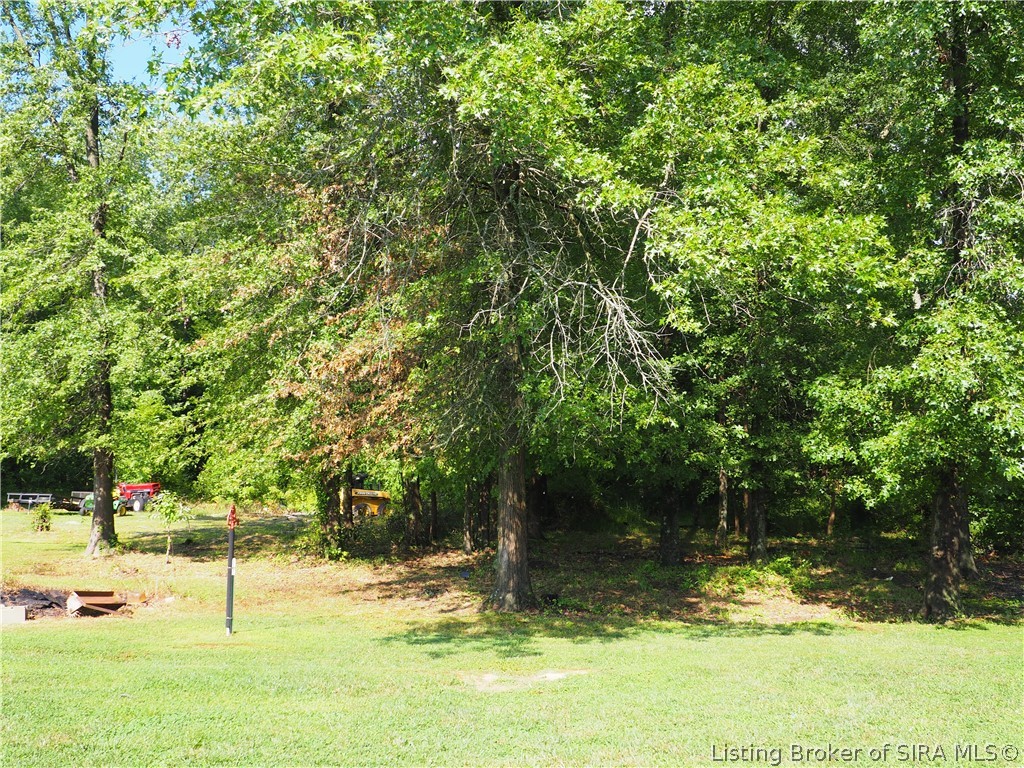 15203 Silver Springs Court Property Photo 66