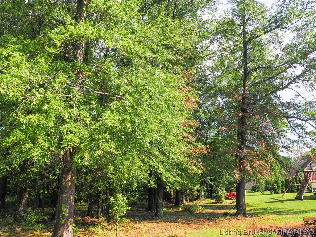 15203 Silver Springs Court Property Photo 69