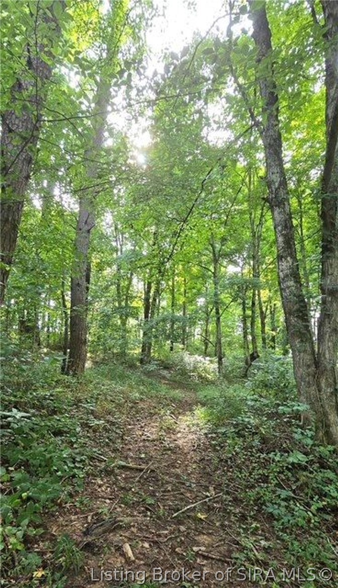 12223 Cole Road Property Photo 36