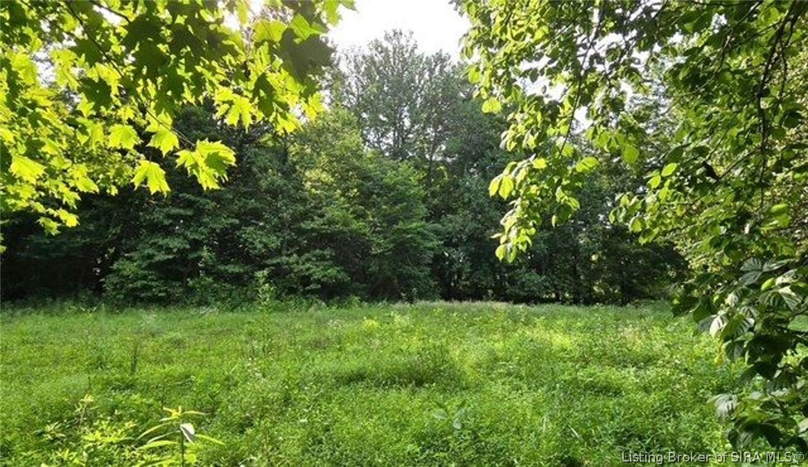 12223 Cole Road Property Photo 39
