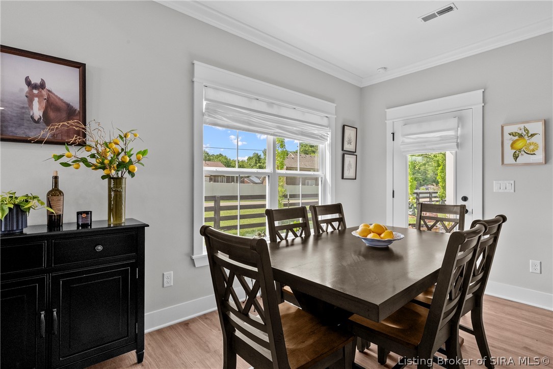 4201 Skylar Way Property Photo 13