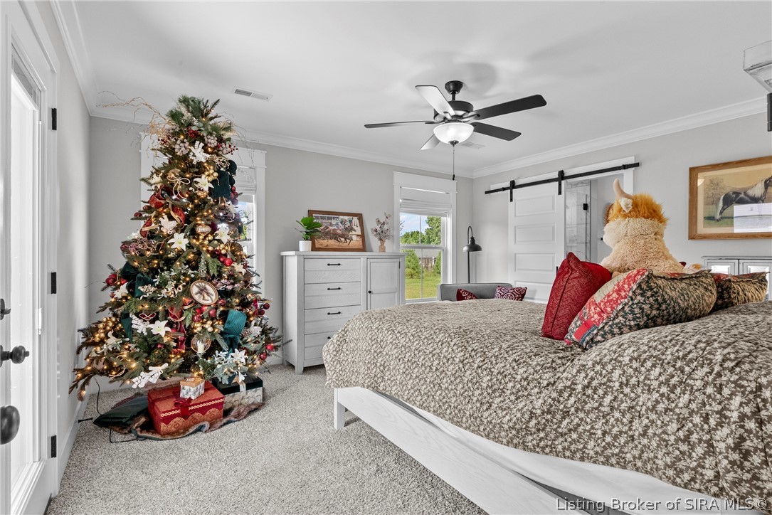 4201 Skylar Way Property Photo 19